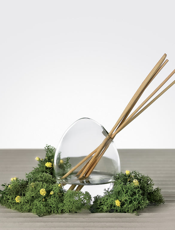Diffusore con bastoncini su muschio
