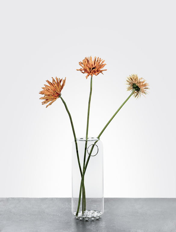 Fiori secchi in vaso trasparente