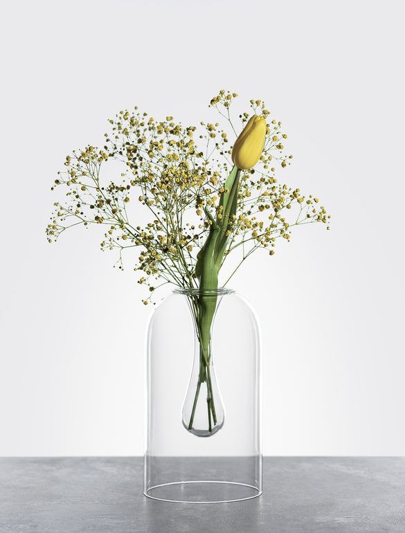 Tulipano giallo in vaso trasparente