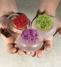 Cinini, tiny reversible flower vases