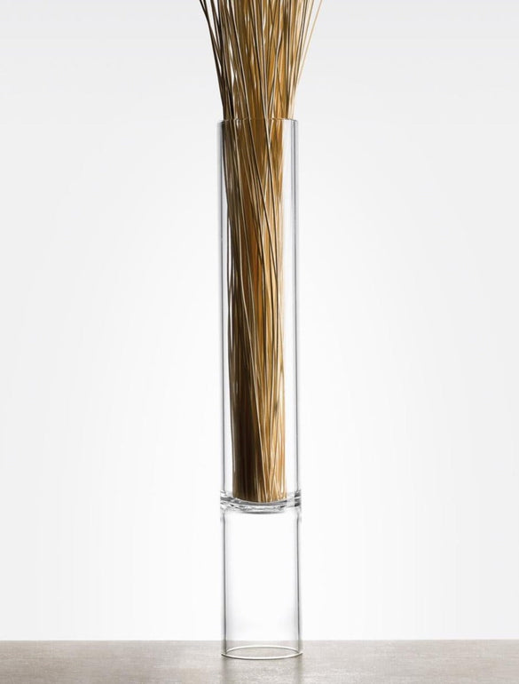 Vaso di vetro con rami secchi