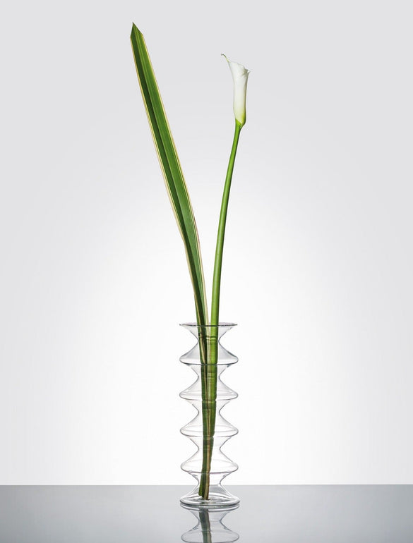 Fiore bianco in vaso trasparente