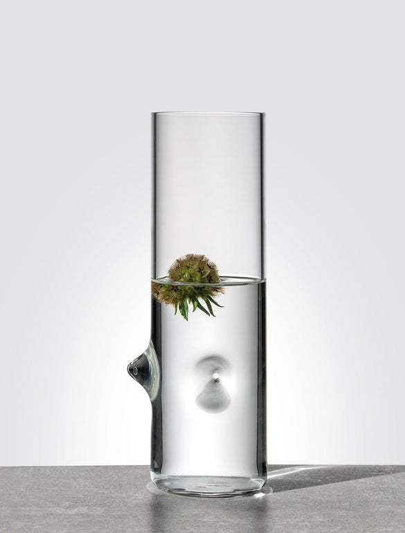 Fiore in vaso di vetro moderno