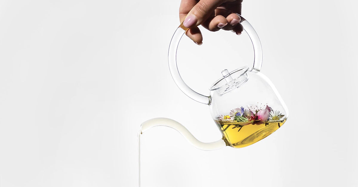 Glass Comfort for Autumn: Design Teapots, Kettles, and Coffee Makers