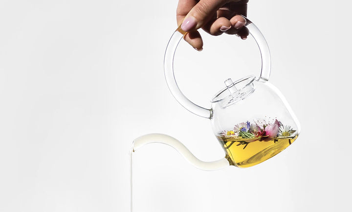 Glass Comfort for Autumn: Design Teapots, Kettles, and Coffee Makers