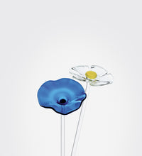 Fiordaliso, Little flower in glass