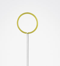 Sola, glass flower
