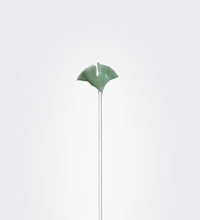 Ginkgo Biloba, flower in glass