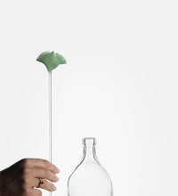 Ginkgo Biloba, flower in glass