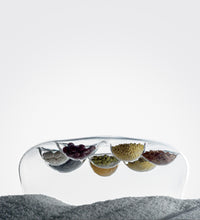 LOTUS BIG reversible plate with 8 small cavities