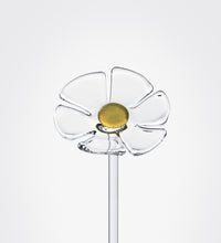 Margherita, little flower in glass