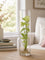 Benia, glass vase for bulb growth
