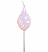 Cipolla, glass flower