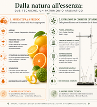 Mattinata, menta piperita in purezza profumo naturale 100ml