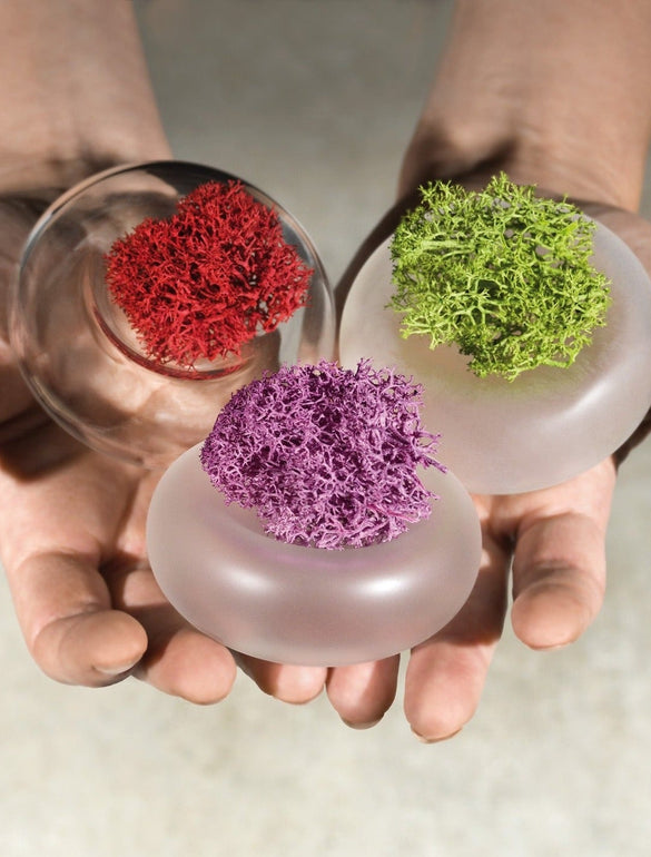 Cinini, tiny reversible flower vases