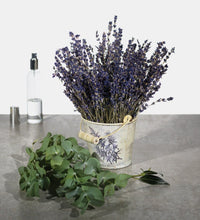 Silvano, ravensare, eucalyptus, lavender home fragrance 100ml