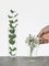 I Vasetti, piccoli vasi per piccoli fiori