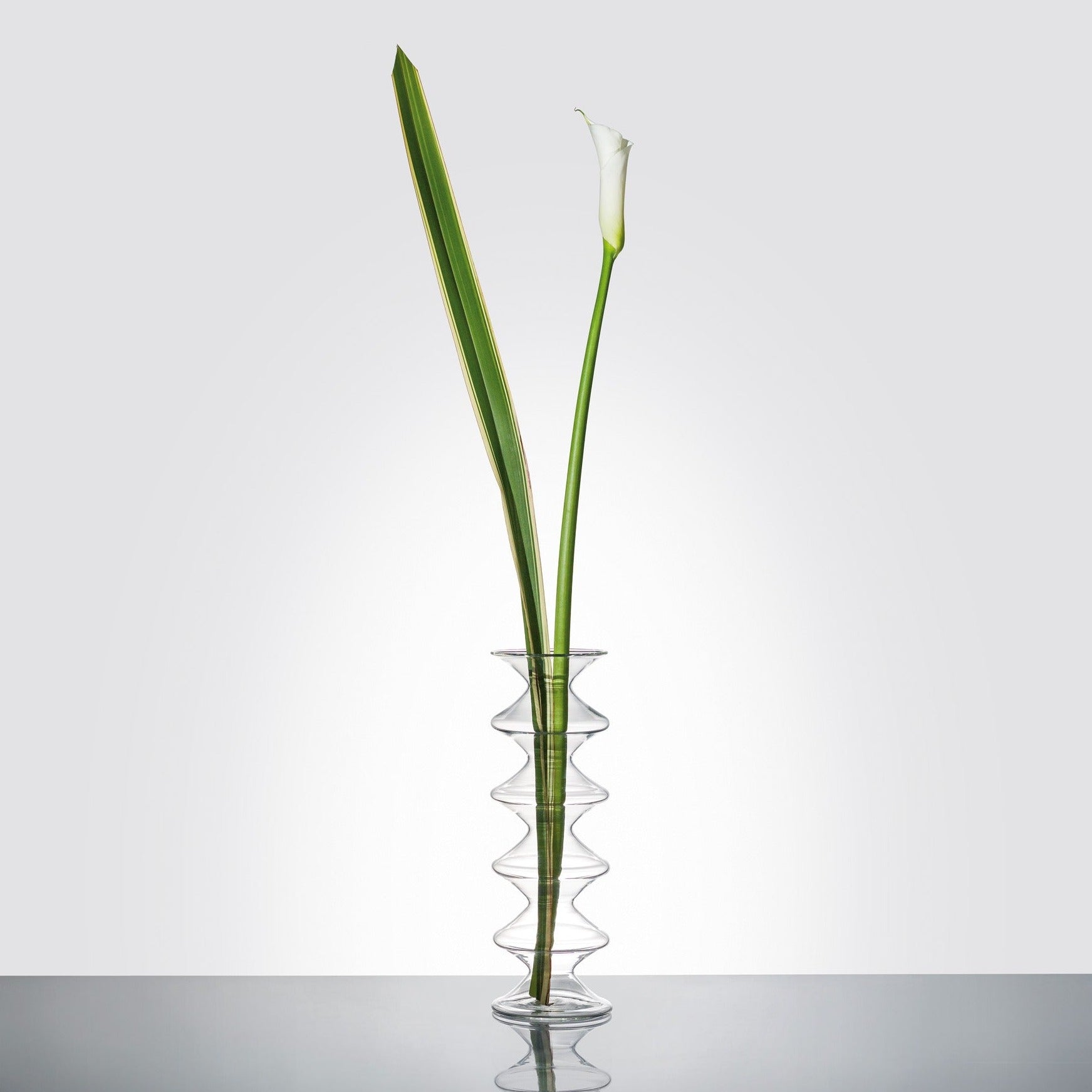 Natalìa, glass flower vase