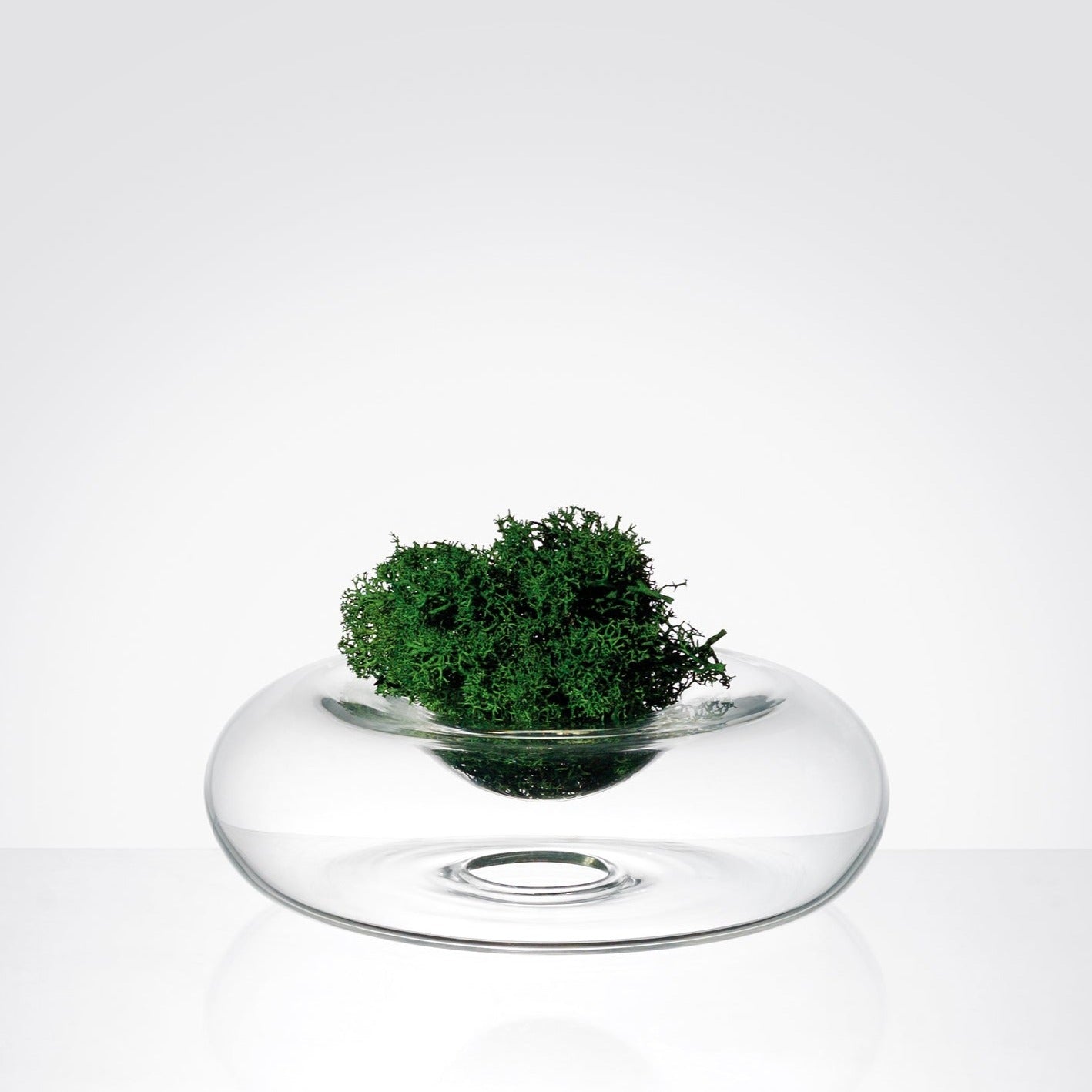Cino, low glass vase for short stem flower