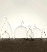 Echoes, design glass cloche