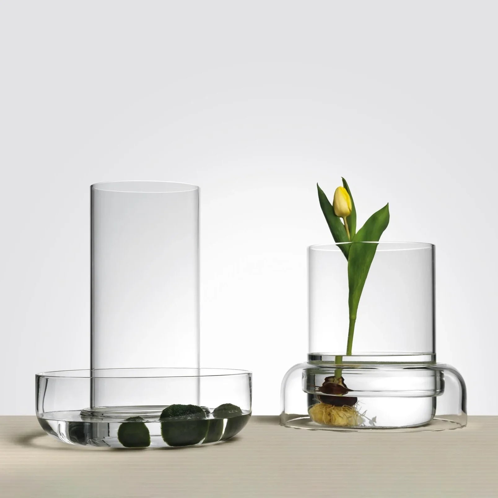Metaverso, high dimensions modular vase